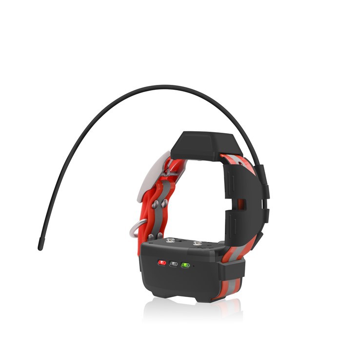 Mini GPS hundhalsband